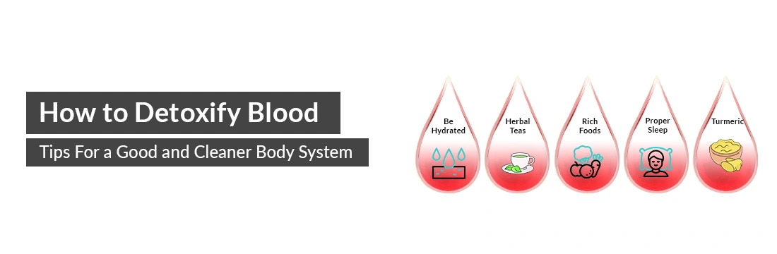 How to Detoxify Blood: Tips for a Good and Cleaner Body System